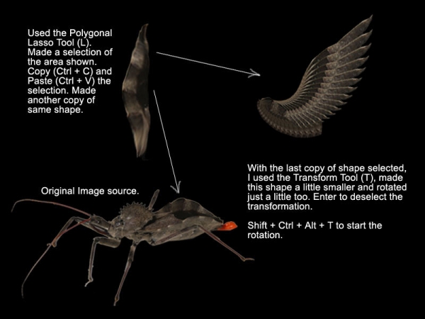 Creation of The Fight: Step 3